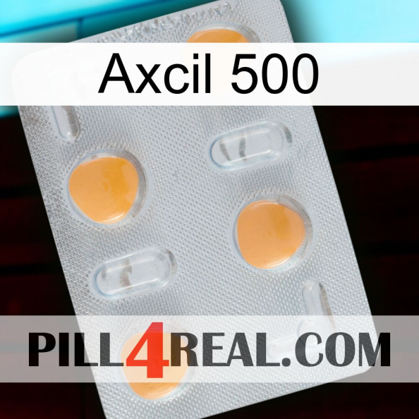 Axcil 500 24.jpg